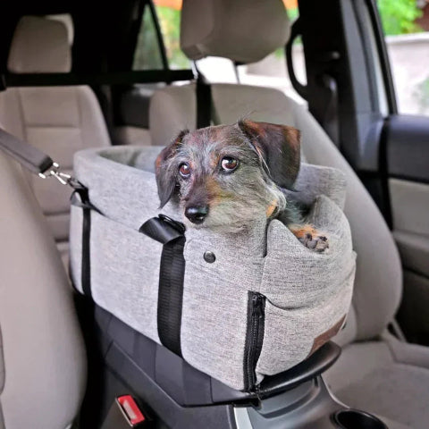 犬用旅行用車載バスケット - 小さな仲間に最適