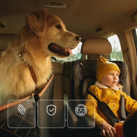 Husă De Scaun Auto Pentru Câini — Confort & Siguranță În Viața De Zi Cu Zi