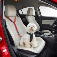 Verstellbarer Sicherheitsgurt für Hunde – Speziell für Autos 