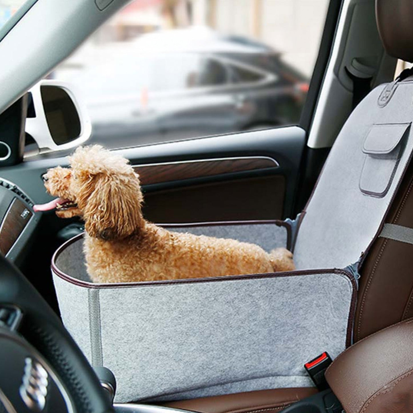 Copertura Auto Per Cani – Perfetta Per Cani Di Piccola E Media Taglia 