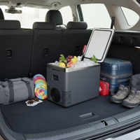 Mini lodówka i podgrzewacz do samochodu — 2 w 1 praktyczne 