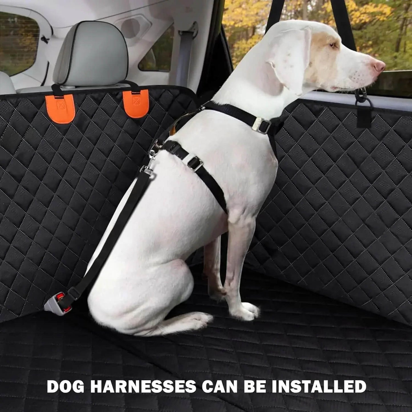 Fodera per Sedile Auto per Cani – Impermeabile e Antiscivolo con Cintura di Sicurezza 